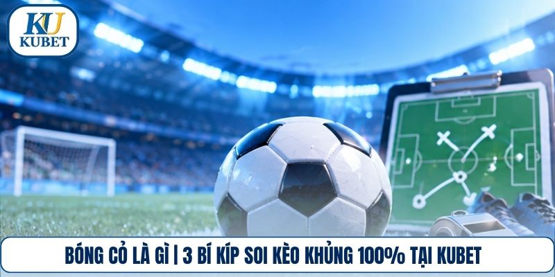 Bóng Cỏ Là Gì | 3 Bí Kíp Soi Kèo Khủng 100% Tại Kubet
