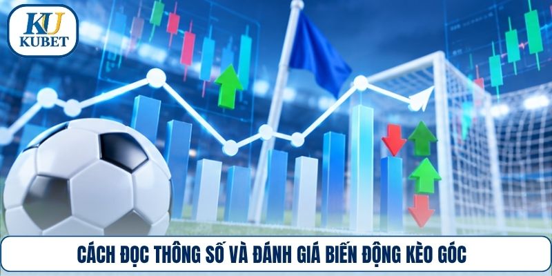 Cách đọc thông số và đánh giá biến động kèo góc