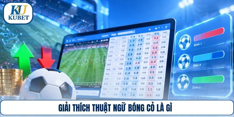 Giải thích thuật ngữ bóng cỏ là gì